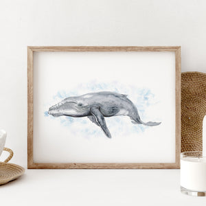 Humpback Whale Watercolor Print