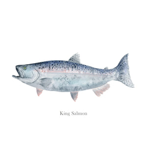 King Salmon Wall Art
