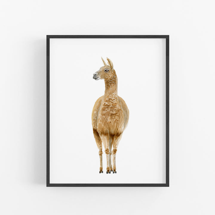 Llama Watercolor Portrait