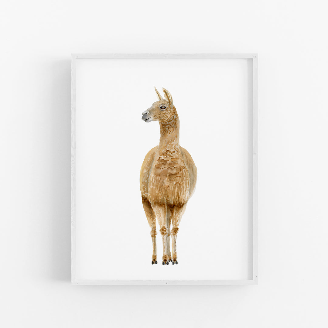 Llama Watercolor Portrait