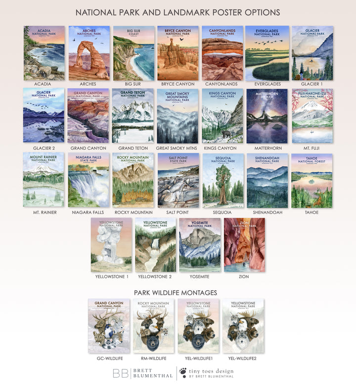 National Park and Park Puzzle Options