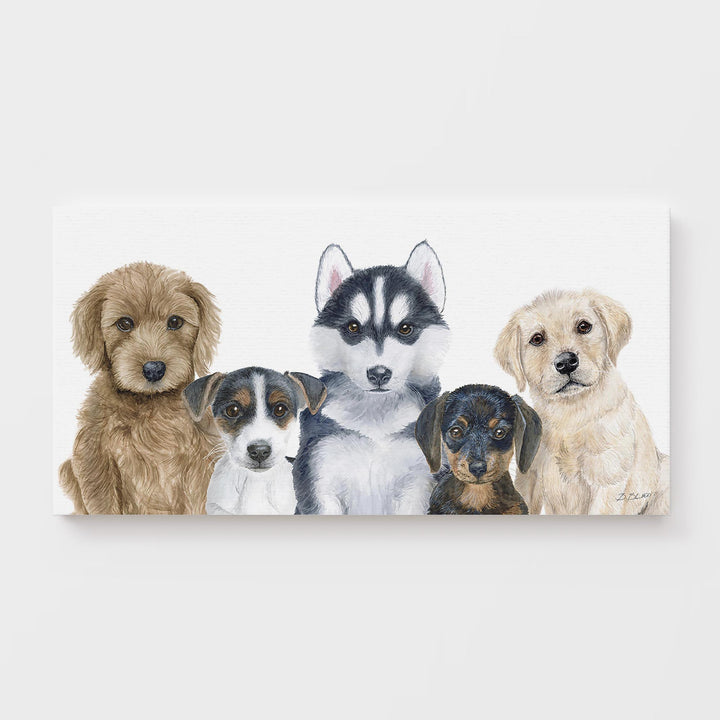 Puppy Cuteness