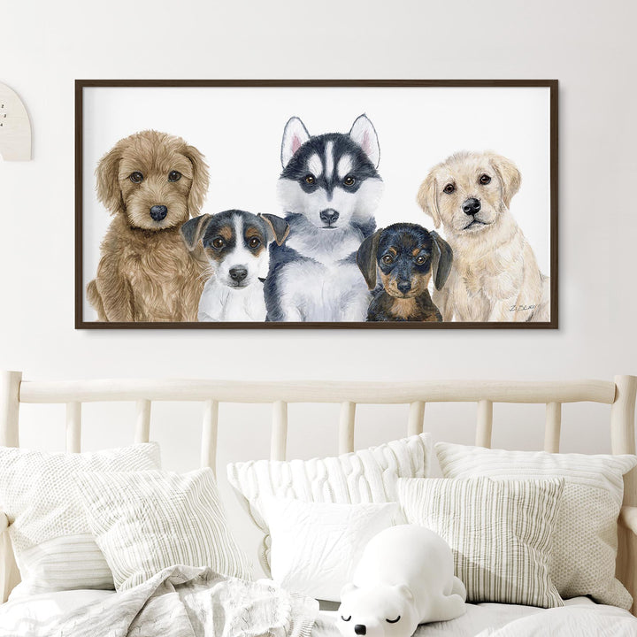 Puppy Cuteness