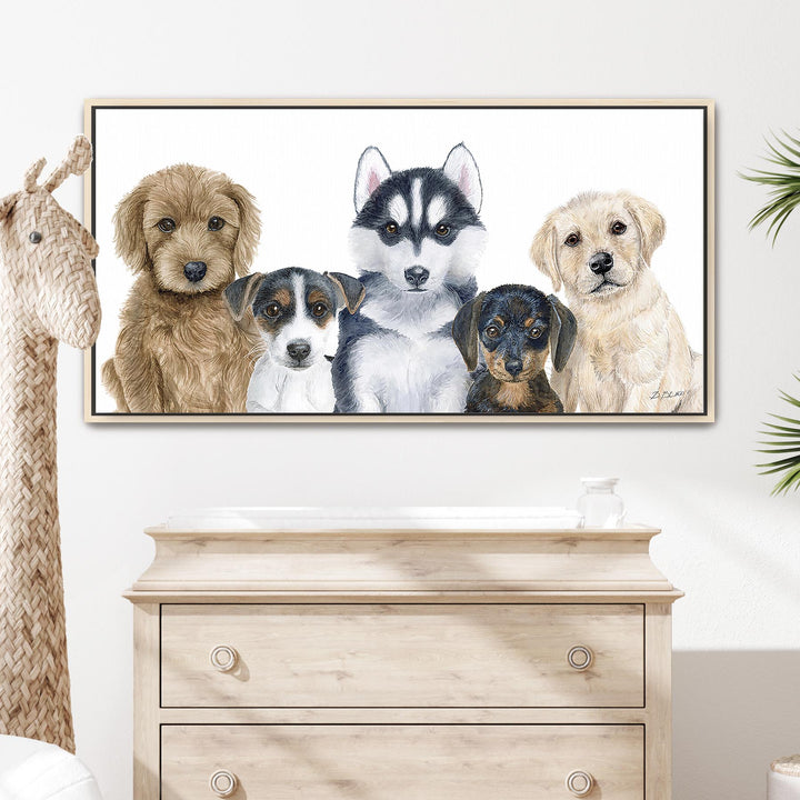 Puppy Cuteness