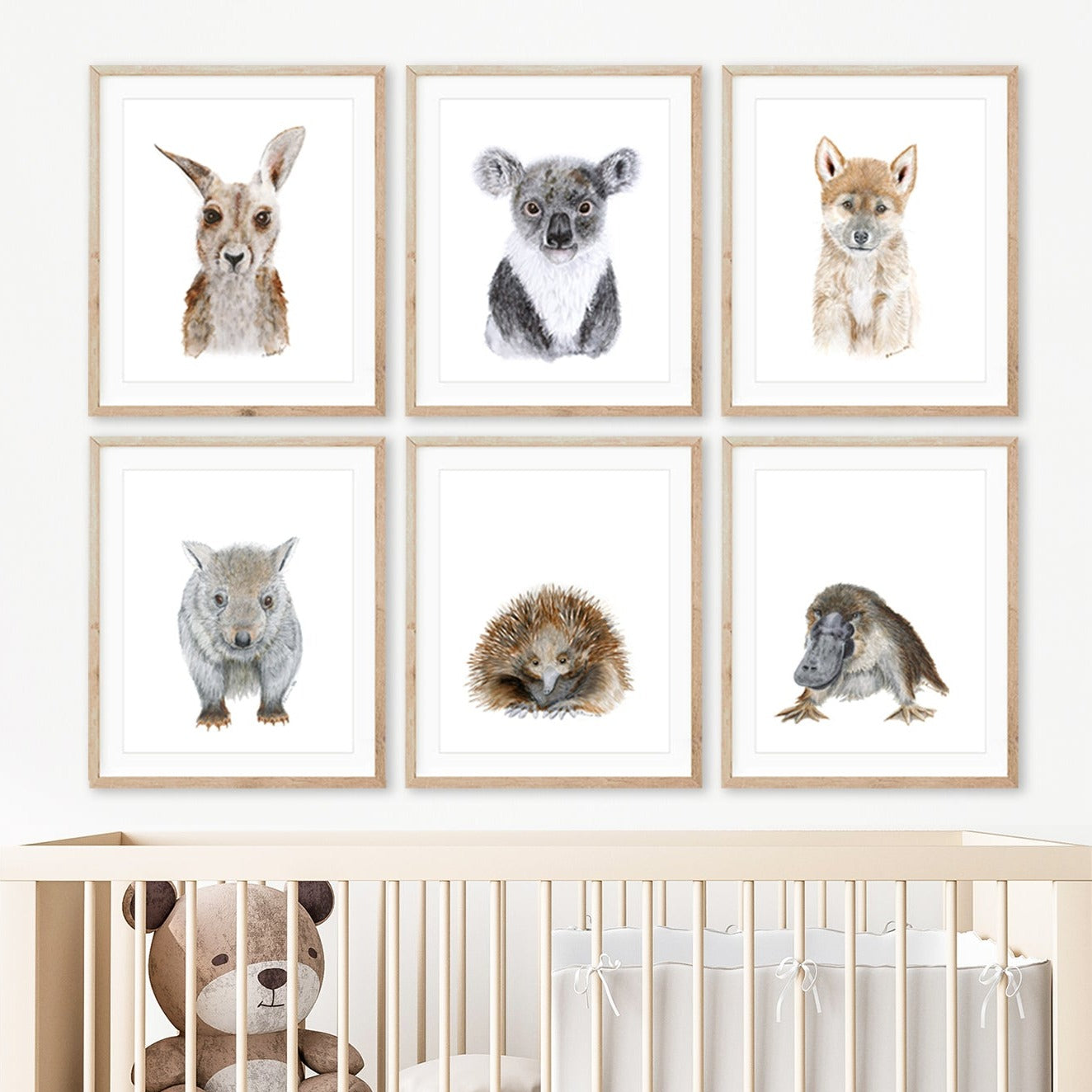 Australian Baby Animal Nursery Art Set of 6 Framed Prints Tiny Toes
