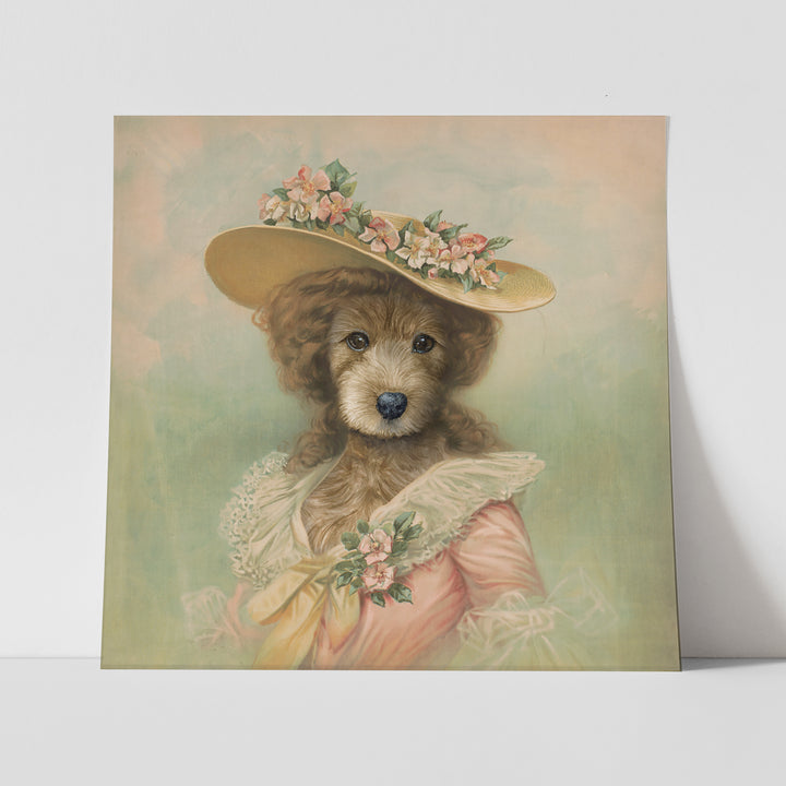 Summer Goldendoodle - Tiny Toes Design