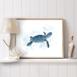 a picture of a sea turtle on a shelf