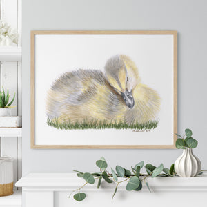 a watercolor painting of a duck laying on the grass