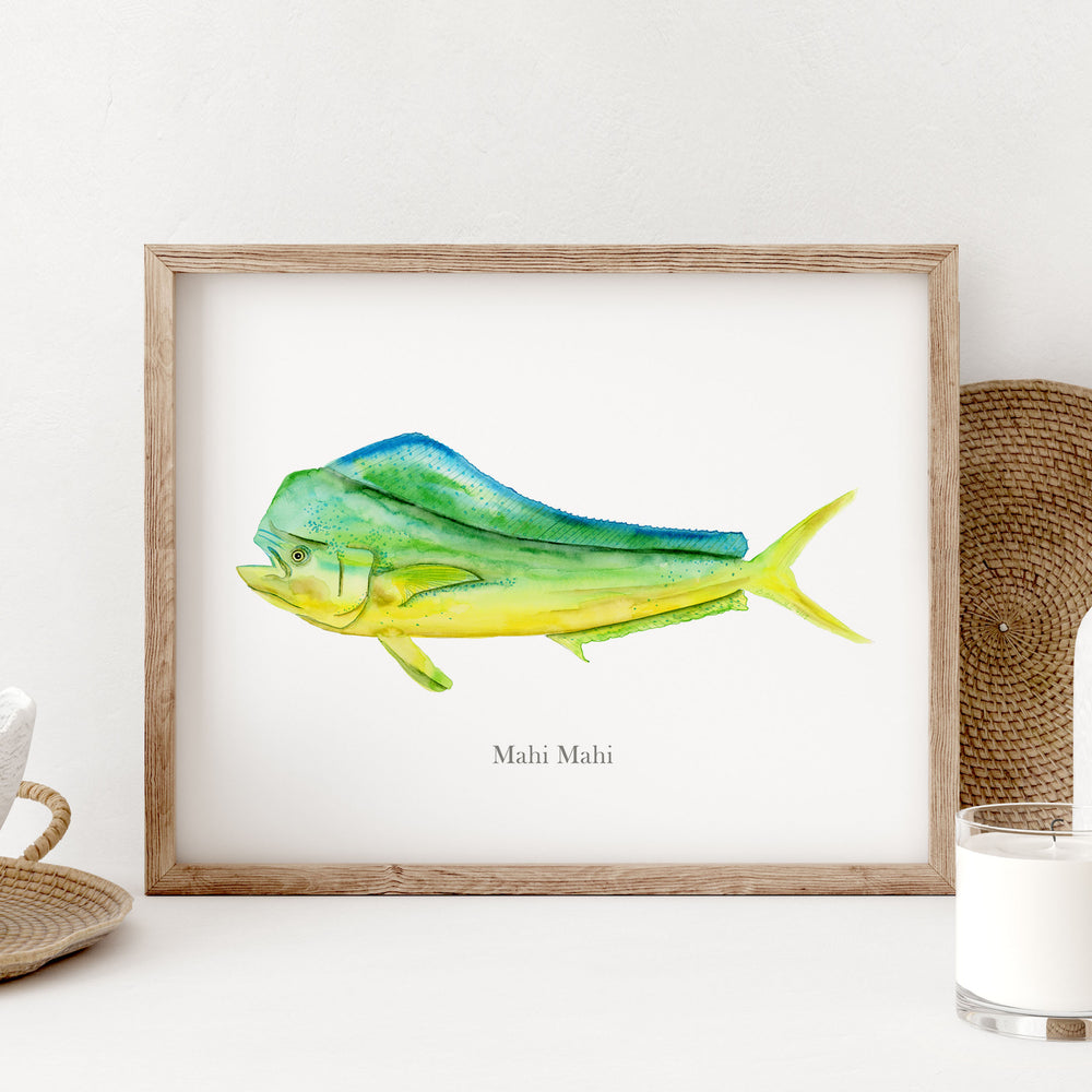 a watercolor painting of a mahi mahi in a frame