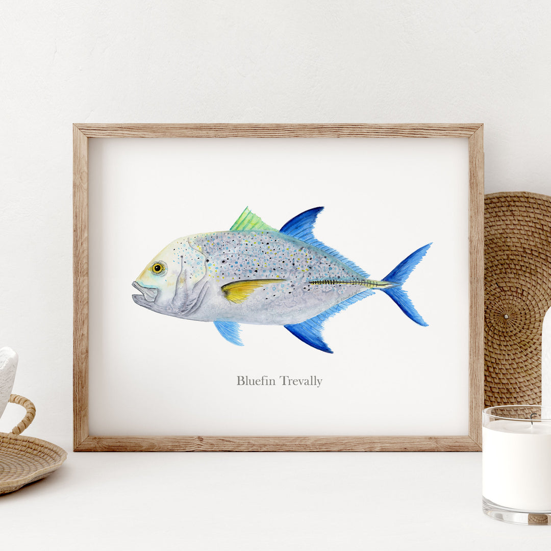 a picture of a bluefin trivially in a frame on a table