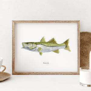 a picture of a snook in a wooden frame