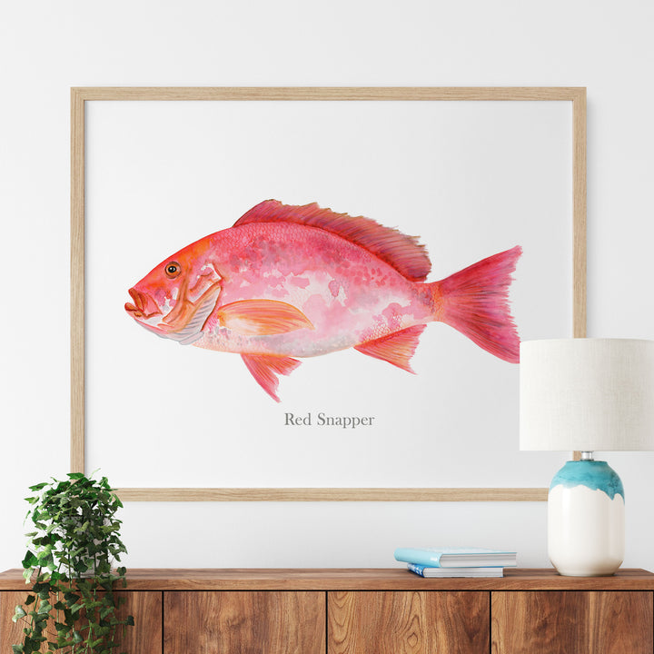 a picture of a red snapper fish hanging on a wall