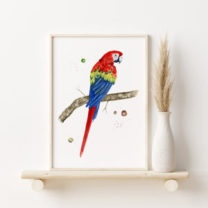 a painting of a colorful bird on a branch