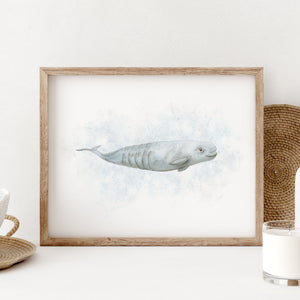 a picture of a beluga whale in a wooden frame