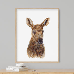 a picture of a deer is hanging on a wall