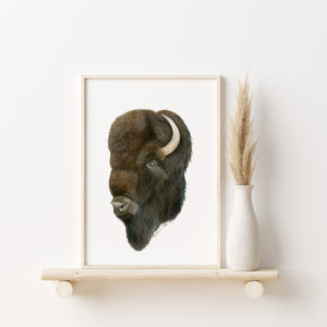 a picture of a bison on a shelf next to a vase