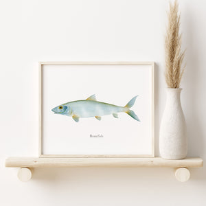 a picture of a bonefish on a shelf next to a vase