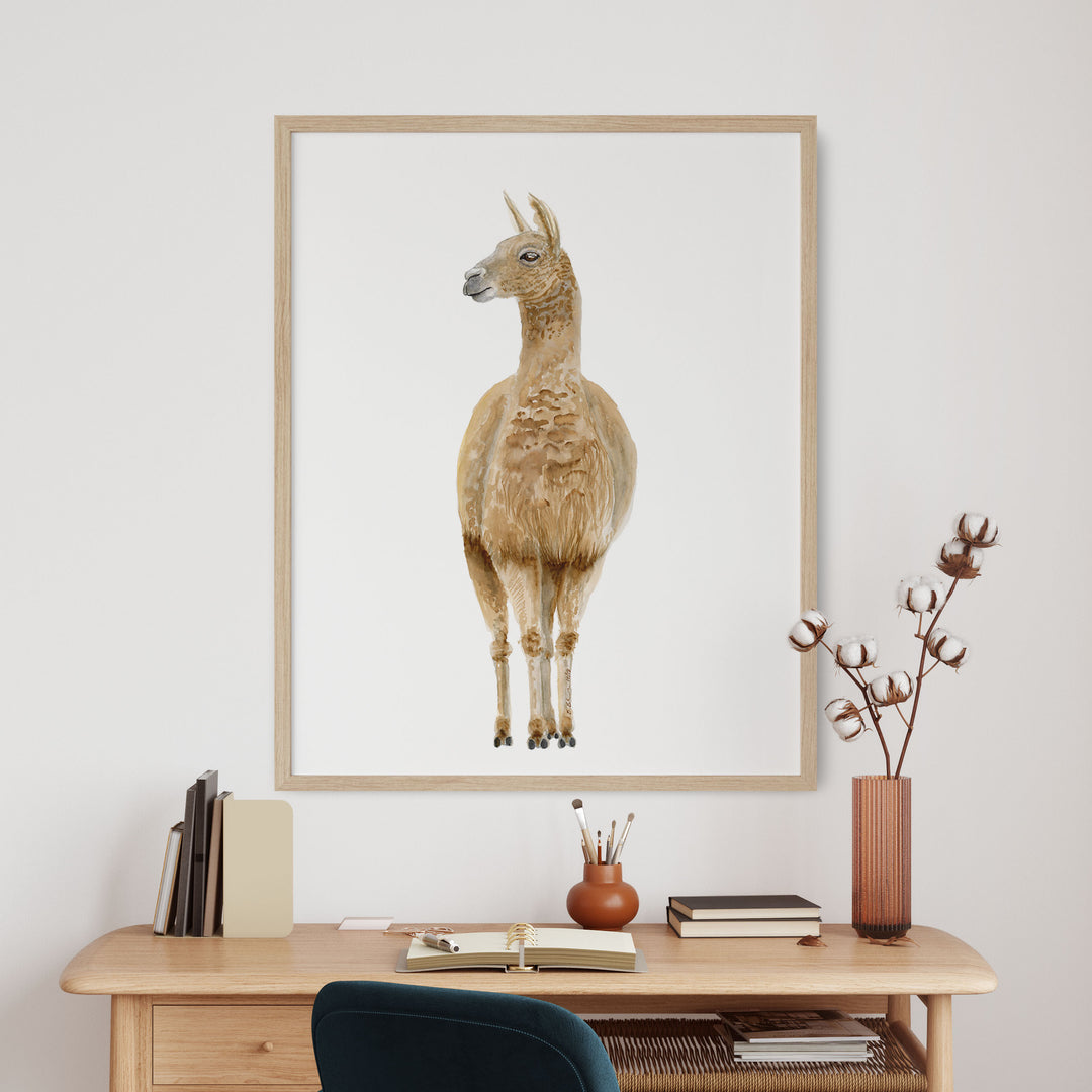 Llama watercolor art