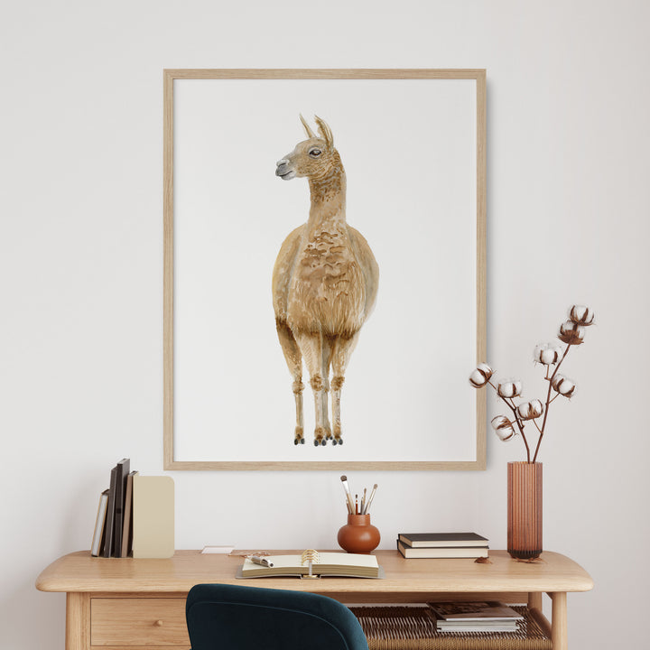 Llama watercolor art