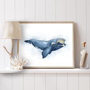 a picture of a right whale in a frame on a wall