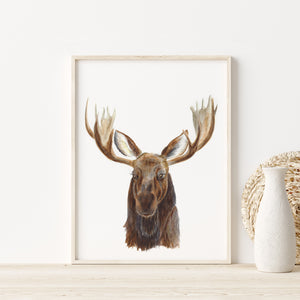 a picture of a moose's head on a shelf
