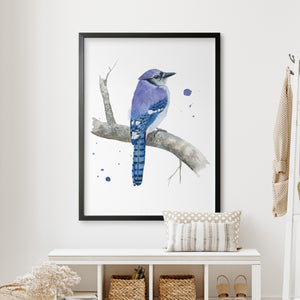 a picture of a blue bird sitting on a branch