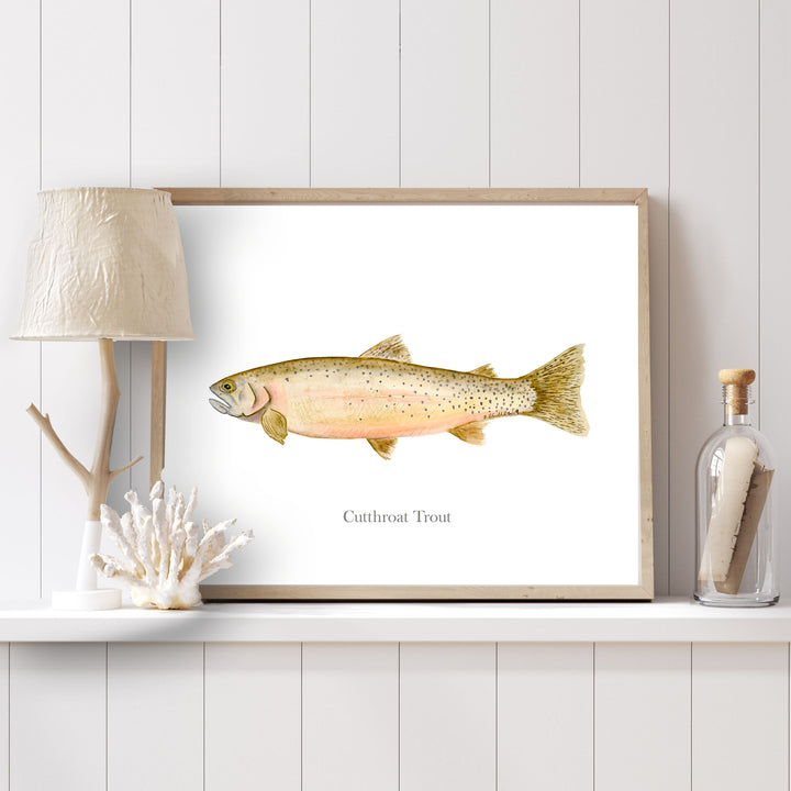 a picture of a cutthroat trout on a shelf