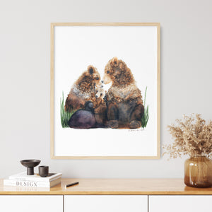 a picture of two bears sitting on rocks