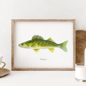 a picture of a walleye fish in a wooden frame