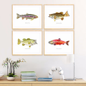 Freshwater Fish Print Set of 4