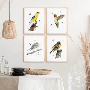 Bird Watercolor Prints