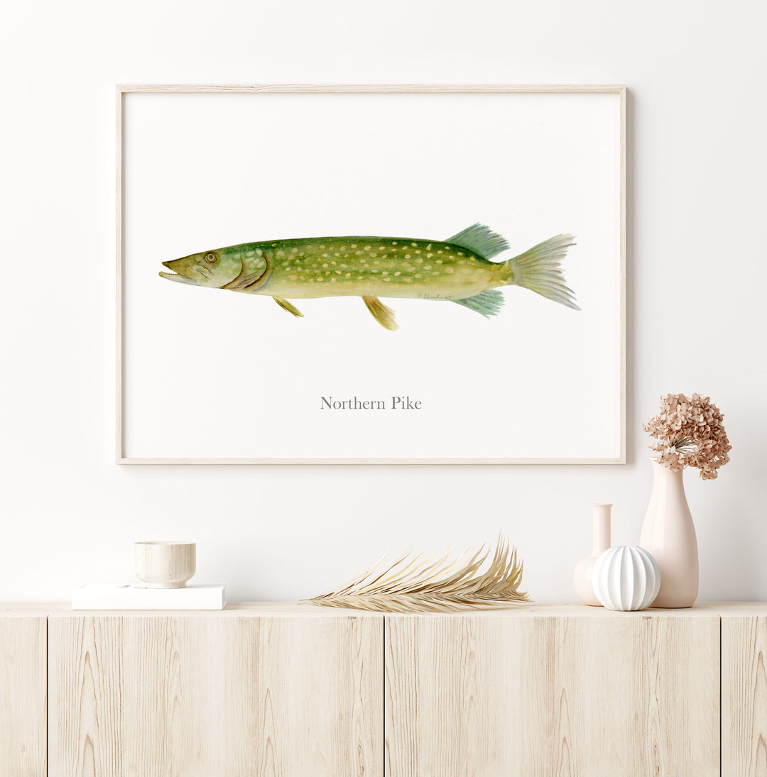 a picture of a fish on a wall above a dresser