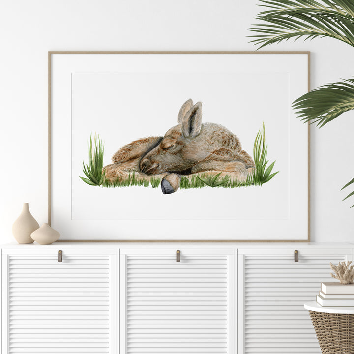 a picture of a rabbit laying down in the grass