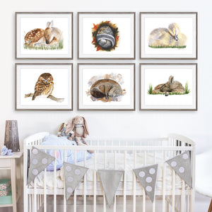 Sleeping Woodland Baby Animal Prints