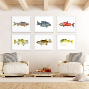 Set of Freshwater Fishing Prints