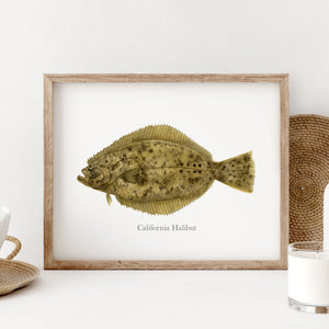a picture of a California halibut in a wooden frame
