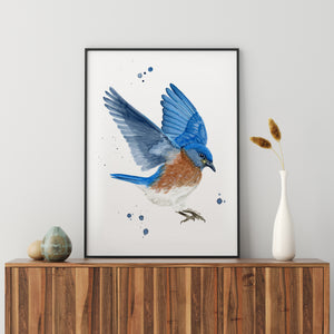 a picture of a blue bird flying in the air