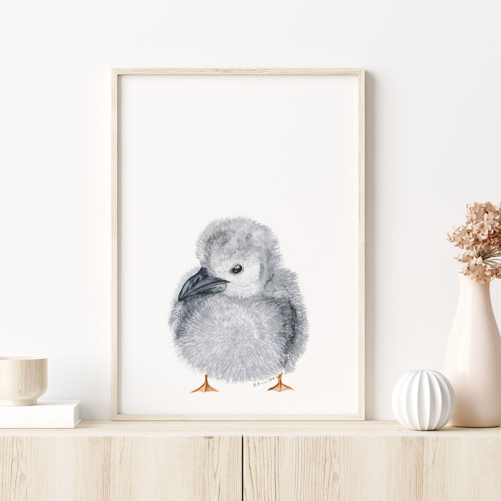 Shearwater Watercolor Print