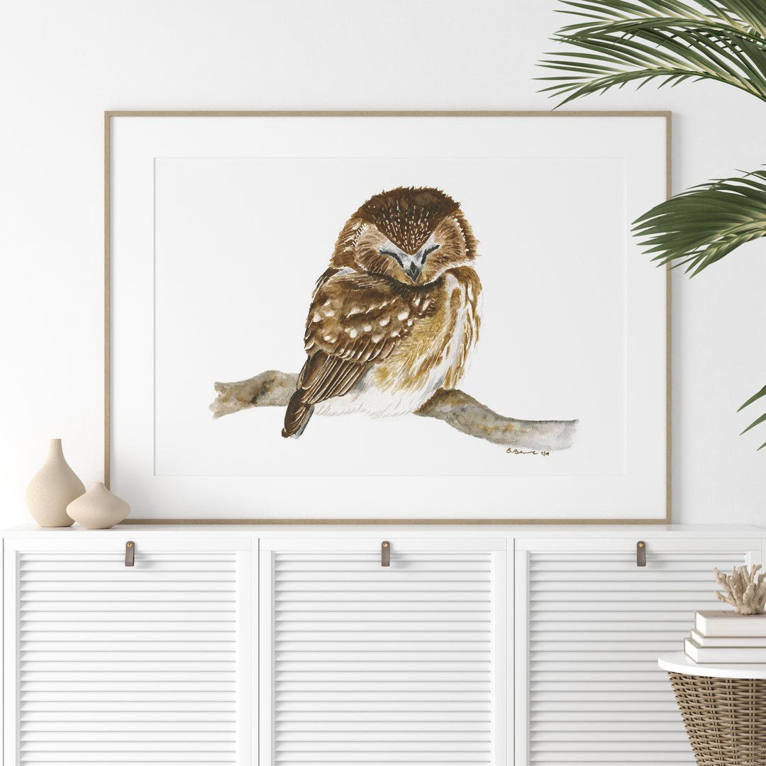 a brown and white bird sitting on top of a shelf