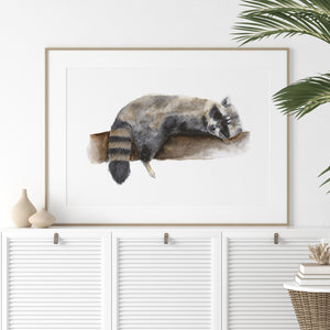 a picture of a raccoon hanging on a wall