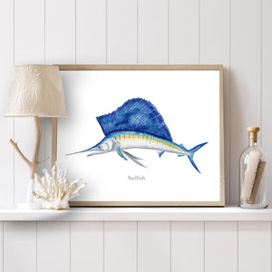a picture of a sailfish on a shelf