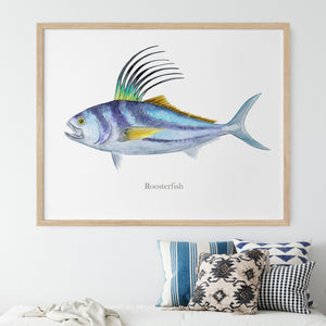 a picture of a roosterfish hanging on a wall