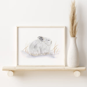 a picture of a white rabbit on a shelf