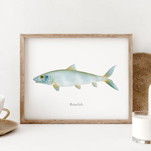 a picture of a bonefish in a wooden frame