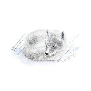 Baby Arctic Fox Watercolor