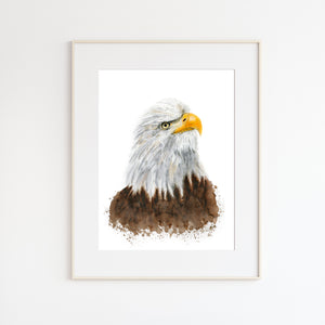 Bald Eagle Watercolor Portrait