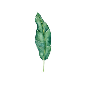 Banana Leaf Botanical Print