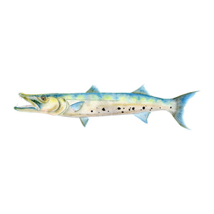 Barracuda Painting Print
