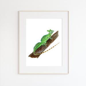 Green Basilisk Illustration