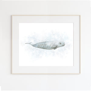 Baby Beluga Nursery Print